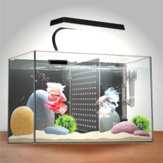 aquariums & tanks 